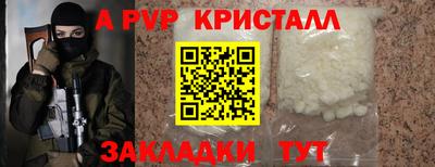 стаф Новозыбков