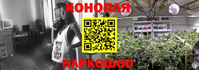 стаф Новозыбков